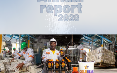 SAC 2026 Annual Report